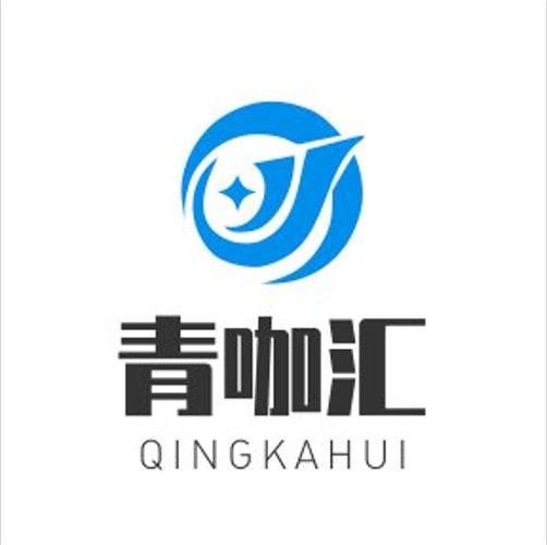 技术赋能，服务立行 湖南青咖汇网络科技的专业网络技术服务之道